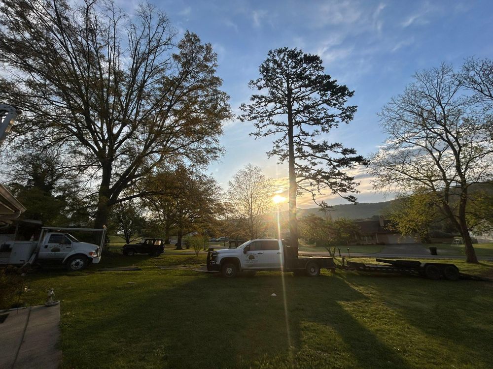 All Photos for Chipper's Tree Service  in Fort Payne, AL