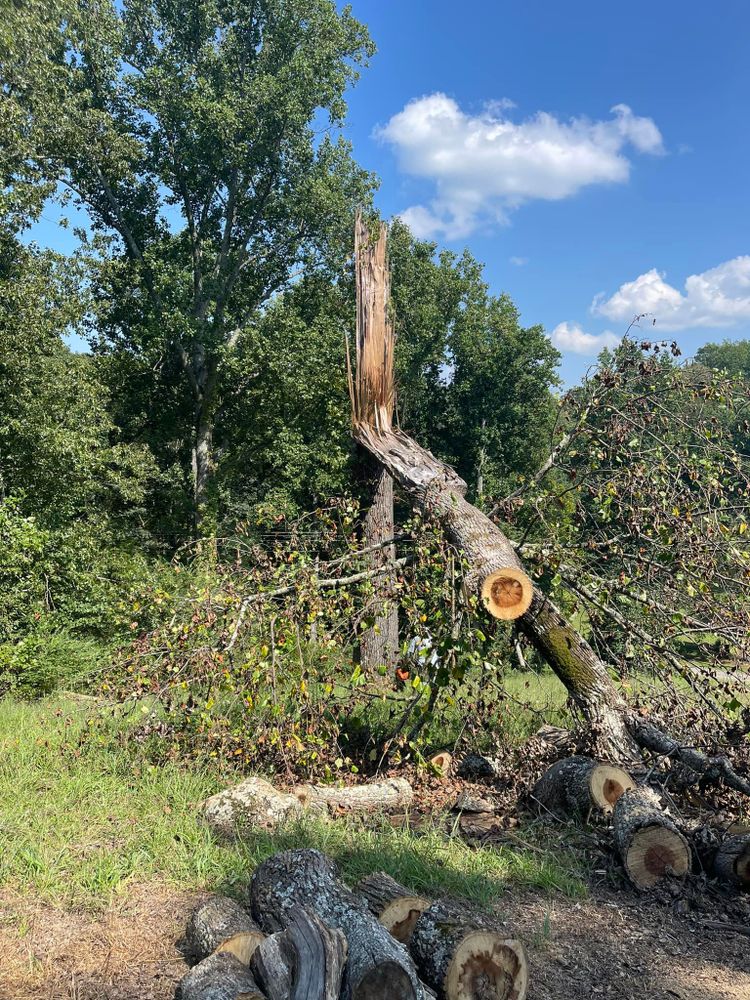 Our Storm Damage Clean Up service promptly assists homeowners by efficiently removing debris and fallen trees, ensuring safety and restoring order after experiencing storm damage today. Contact us to reclaim your space. for Cassidy Tree Care in Santa Fe, TN