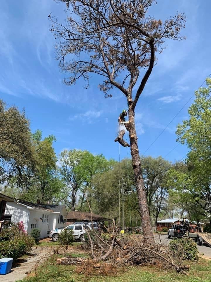 Coastal Tree & Stump team in Charleston, SC - people or person