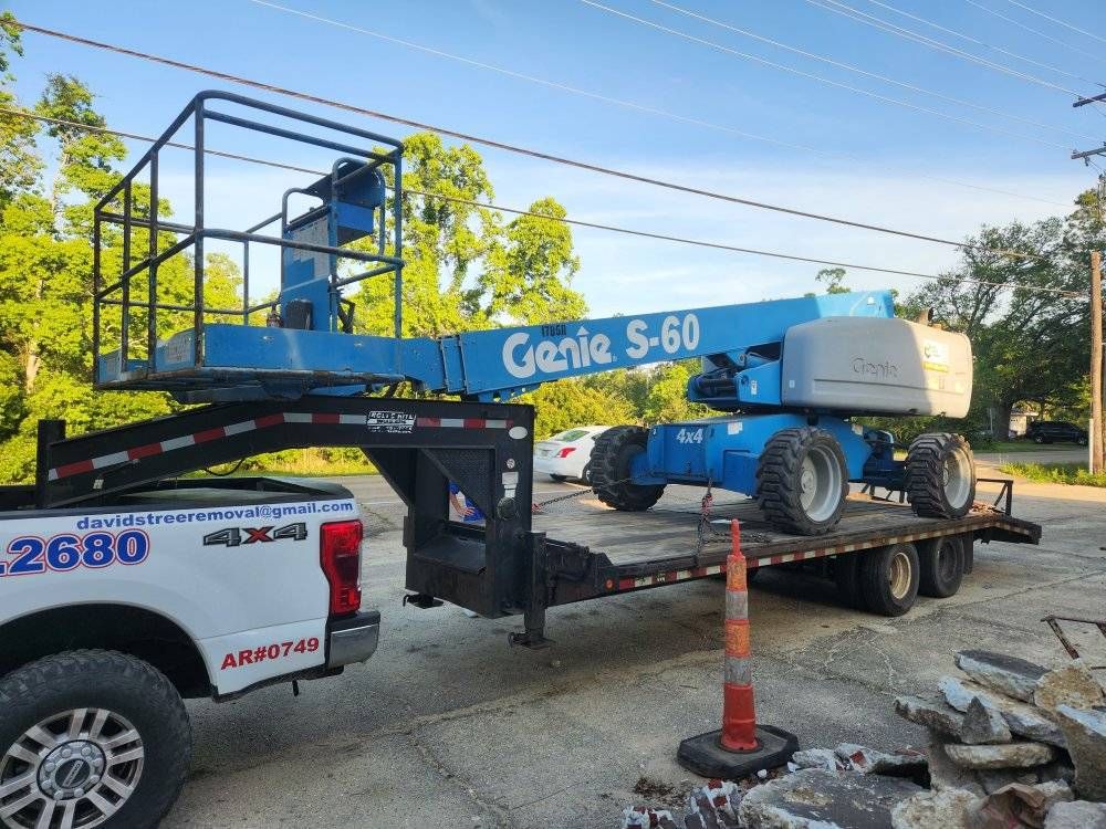 Tree Removal for David's Tree Service in Slidell, LA