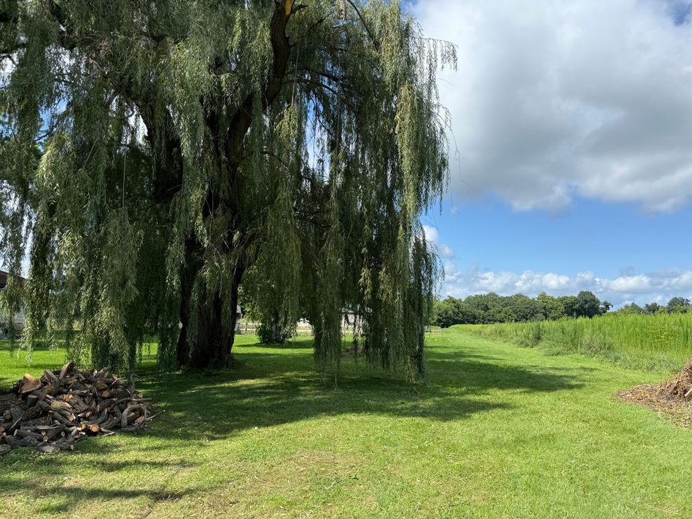 All Photos for Perfect Lawn Solutions LLC in Marshall, WI