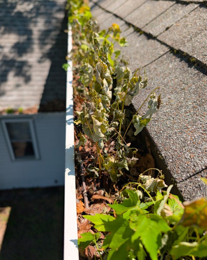 All Photos for Kingdom Power Washing & Window Cleaning in Flushing, MI