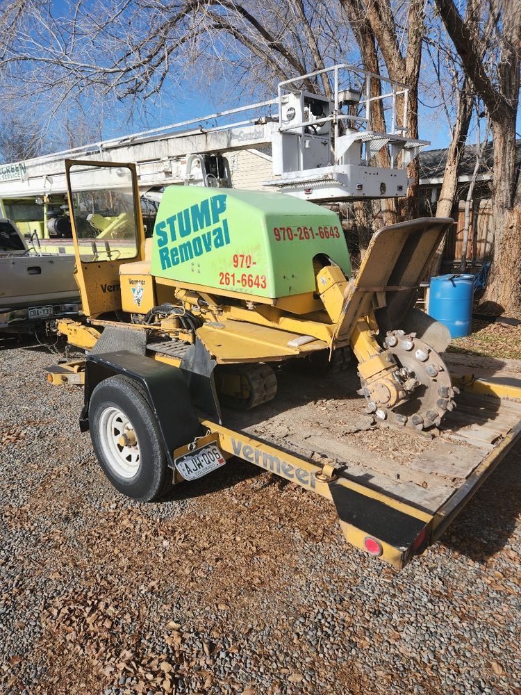 All Photos for Evergreen Tree Service in Grand Junction, CO