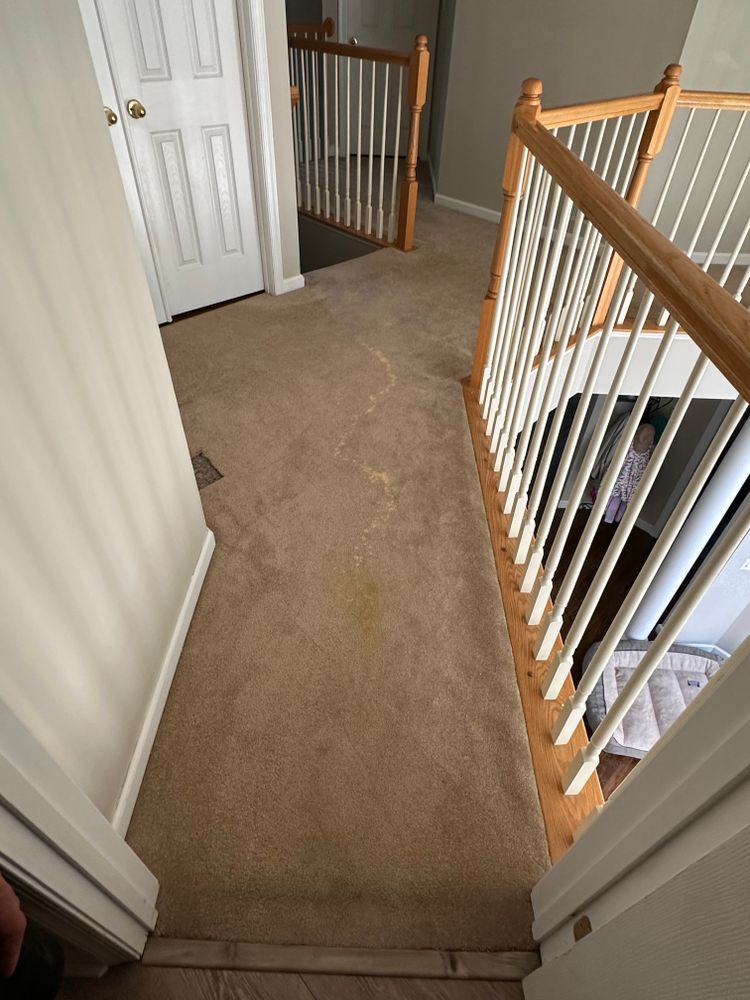 All Photos for K&A Hardwood Floors in Alexandria, VA