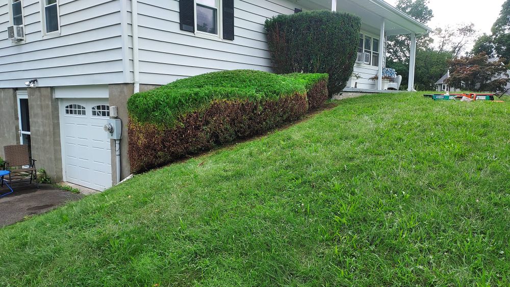 All Photos for Scott's Lawn Care and Landscaping LLC in Modena, NY
