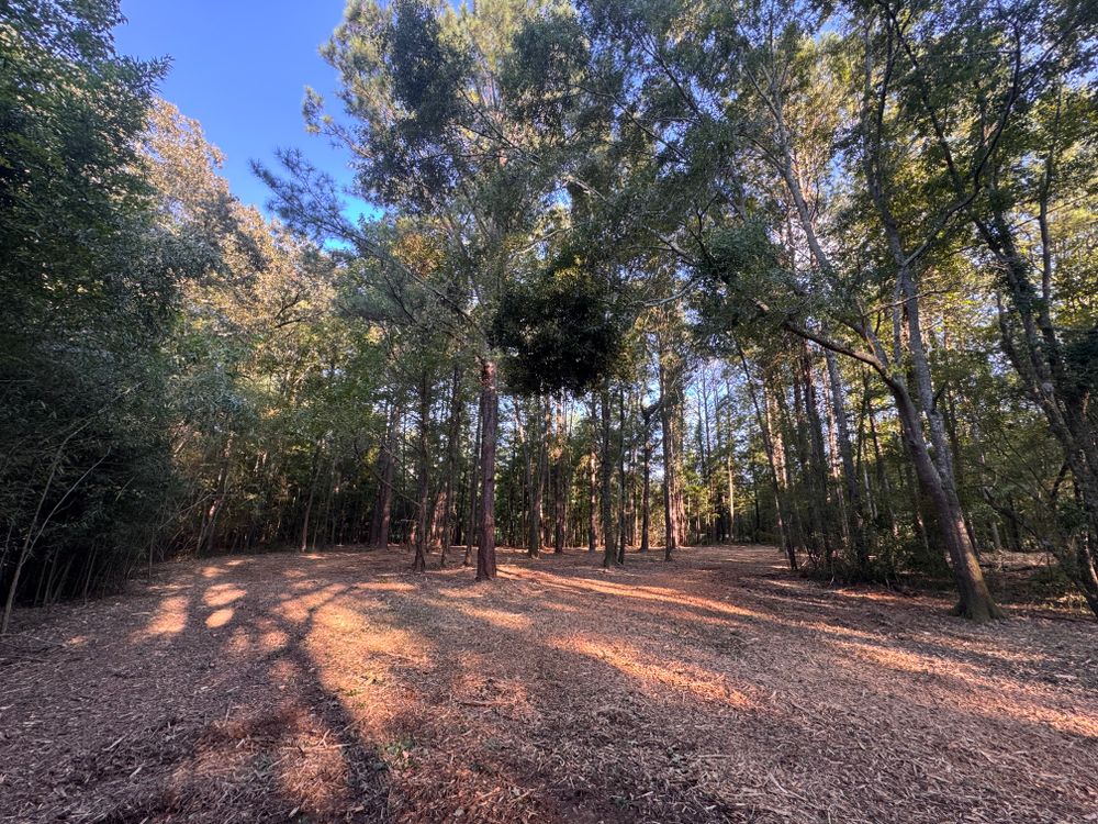 All Photos for Bryant's Land Services in Forsyth, GA