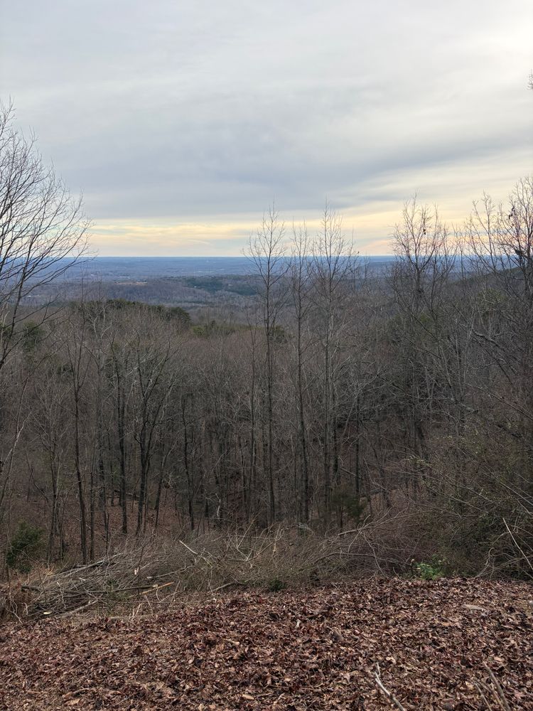 All Photos for Taylormade Lawn Management in Clarkesville, GA