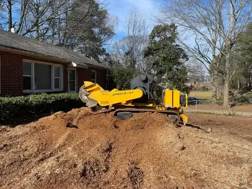 J&K Stump Grinding team in Detroit, MI - people or person