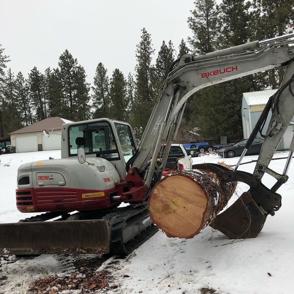 All Photos for AP Tree Service in Colbert, WA