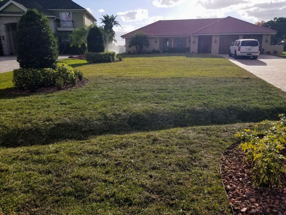 All Photos for Sam's French Drains and Landscape in Orlando, Florida