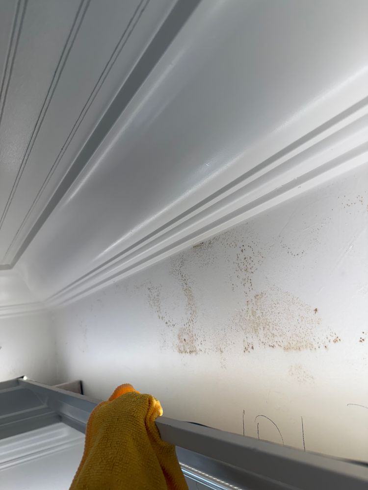 All Photos for N&D Restoration Services When Disaster Attacks, We Come In in Cape Coral,  FL