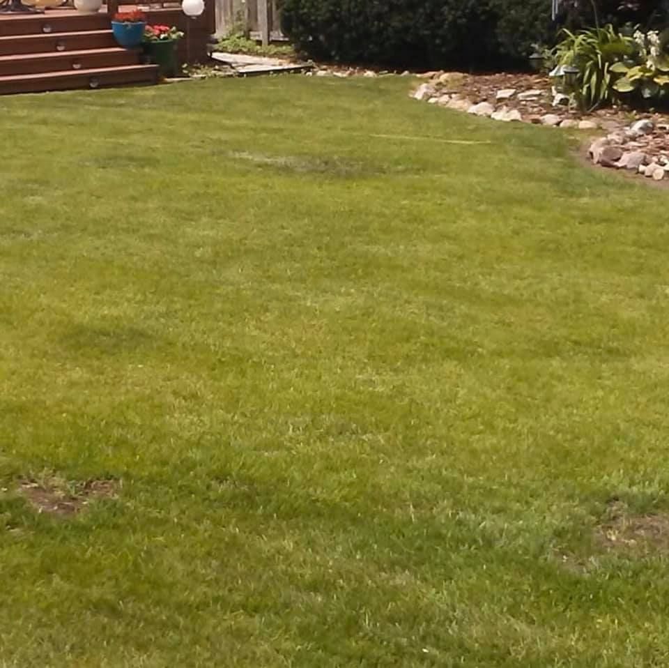 Landscaping for Precision Pro Home Solutions in Saint Clair, MI