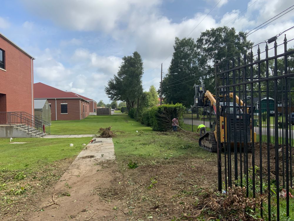 Tree Removal for Broadway & McMullen Construction in Hattiesburg, MS