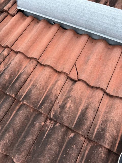 All Photos for Foreshore Pressure Cleaning Services Inc in Holiday, FL