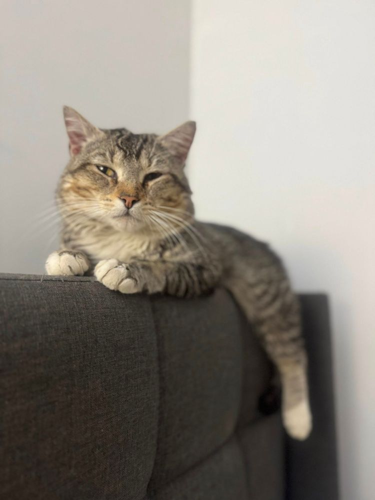 All Photos for Sullivan Sanctuary of Maine in Brunswick, ME