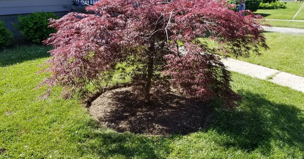 Landscaping for IPL Landscaping LLC in Newton, NJ