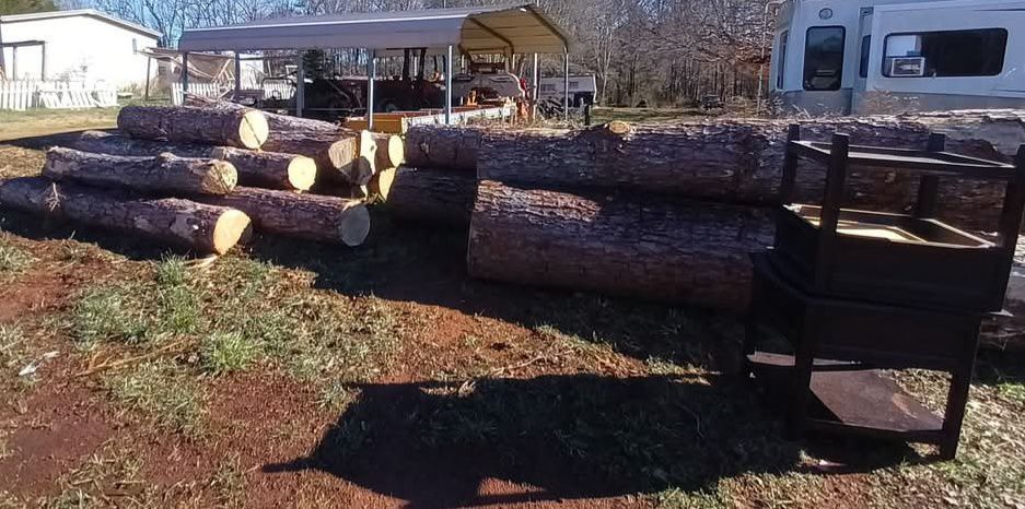 Tree Removal for Goliath Tree Maintenance and Haul Away in Seneca, SC