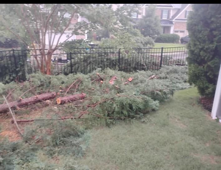 Our Tree Removal service ensures safe and efficient elimination of unwanted trees, enhancing your property's safety and aesthetics. Trust our experienced team for a seamless experience from assessment to clean-up. for All Tree Property Services in Charlotte, NC