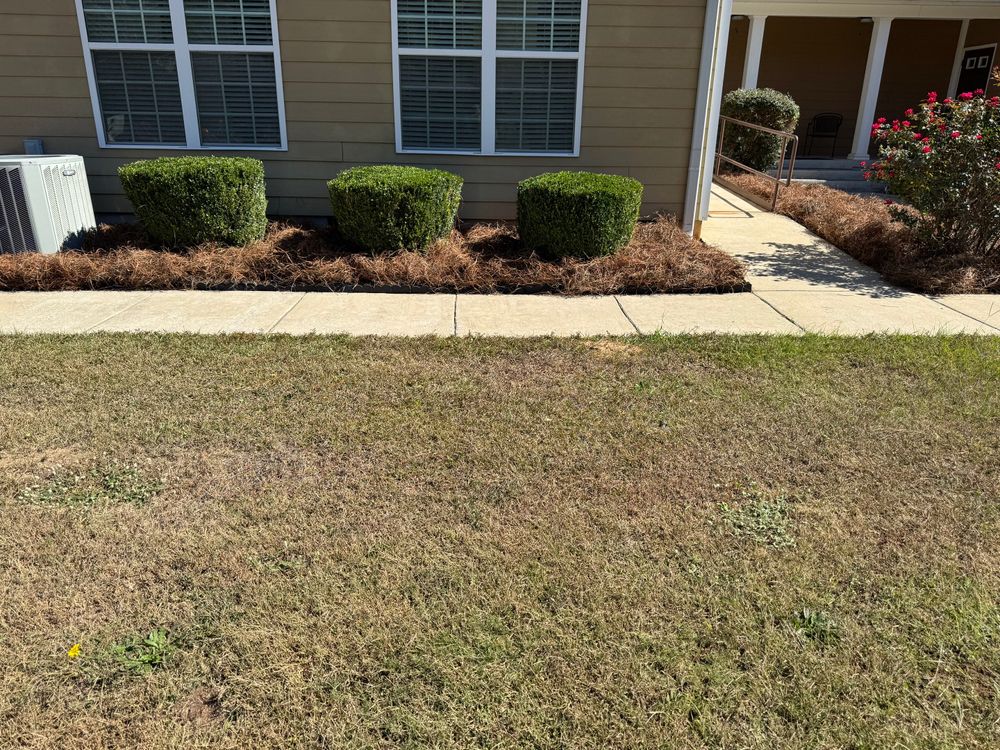 All Photos for Camalett Services in Perry, GA