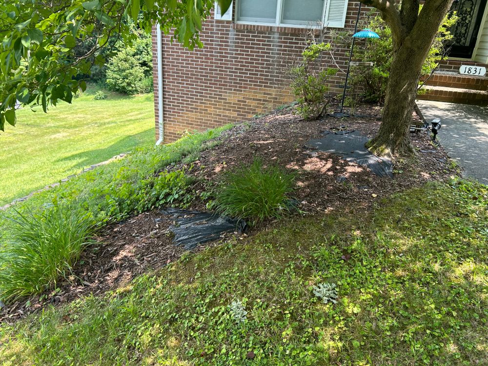 All Photos for Gatrell Landscape & Tree Removal in Bluff City, TN