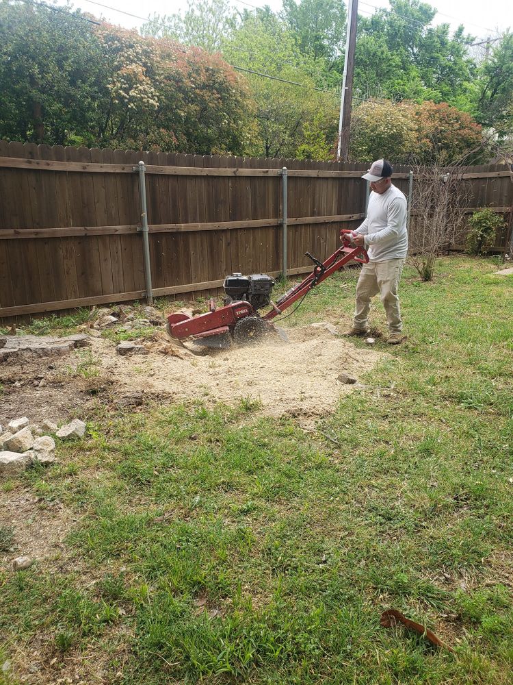 Our stump grinding service efficiently removes unwanted tree stumps from your yard, enhancing the landscape's appearance and preventing potential hazards, ultimately creating a clean and safe outdoor environment for your home. for Paquito's Landscaping in Ellis County, TX