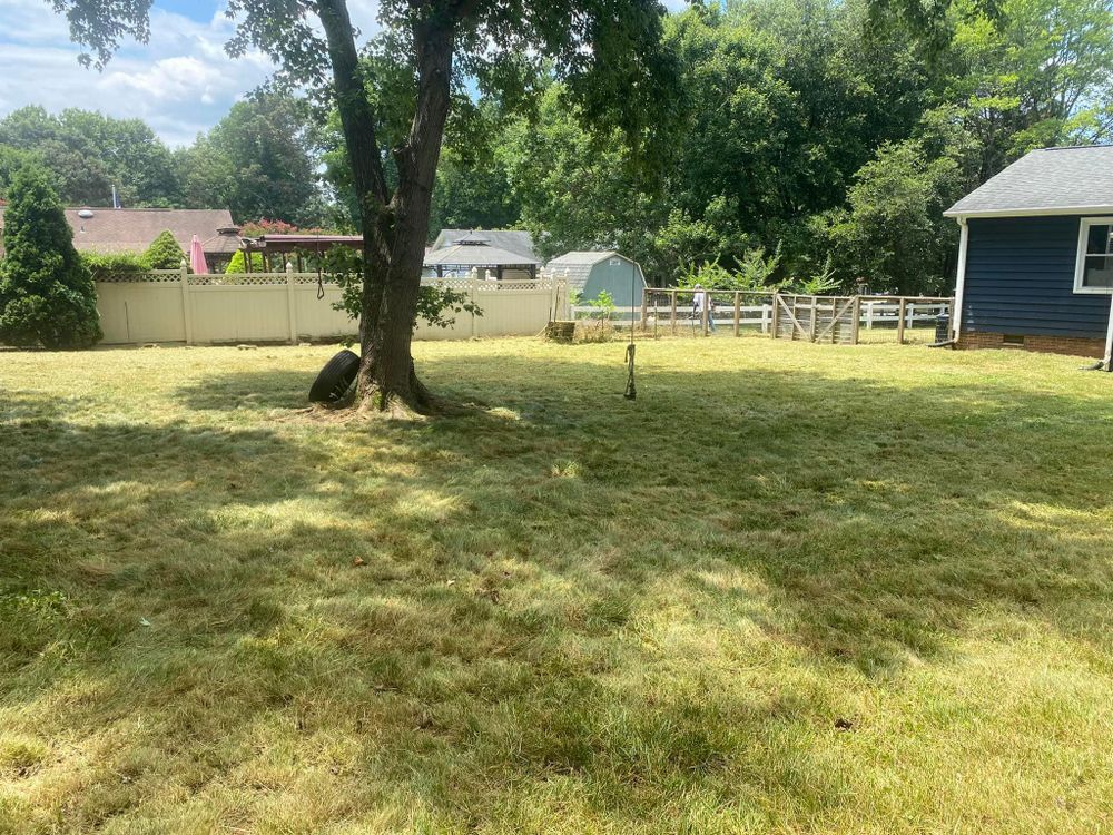 Mulching for America's Top Pick Lawn & Landscaping in Gastonia, NC