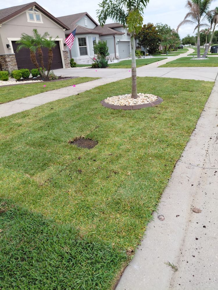 All Photos for Gulf Bay Sod in Clearwater, FL