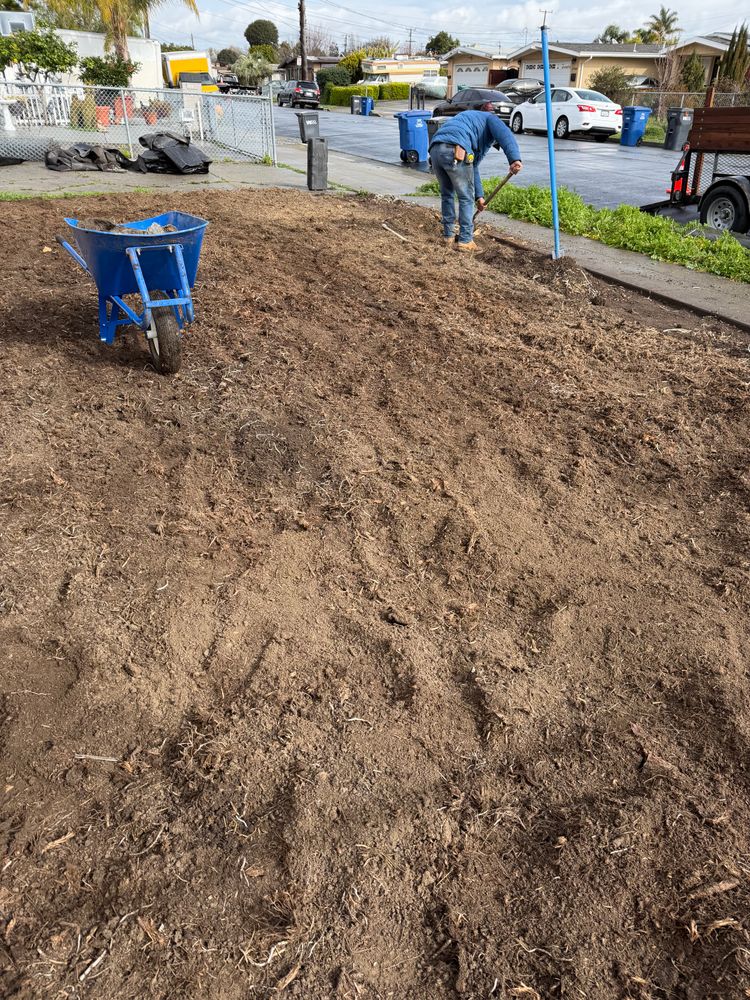 All Photos for CBA Landscaping in Hayward, CA