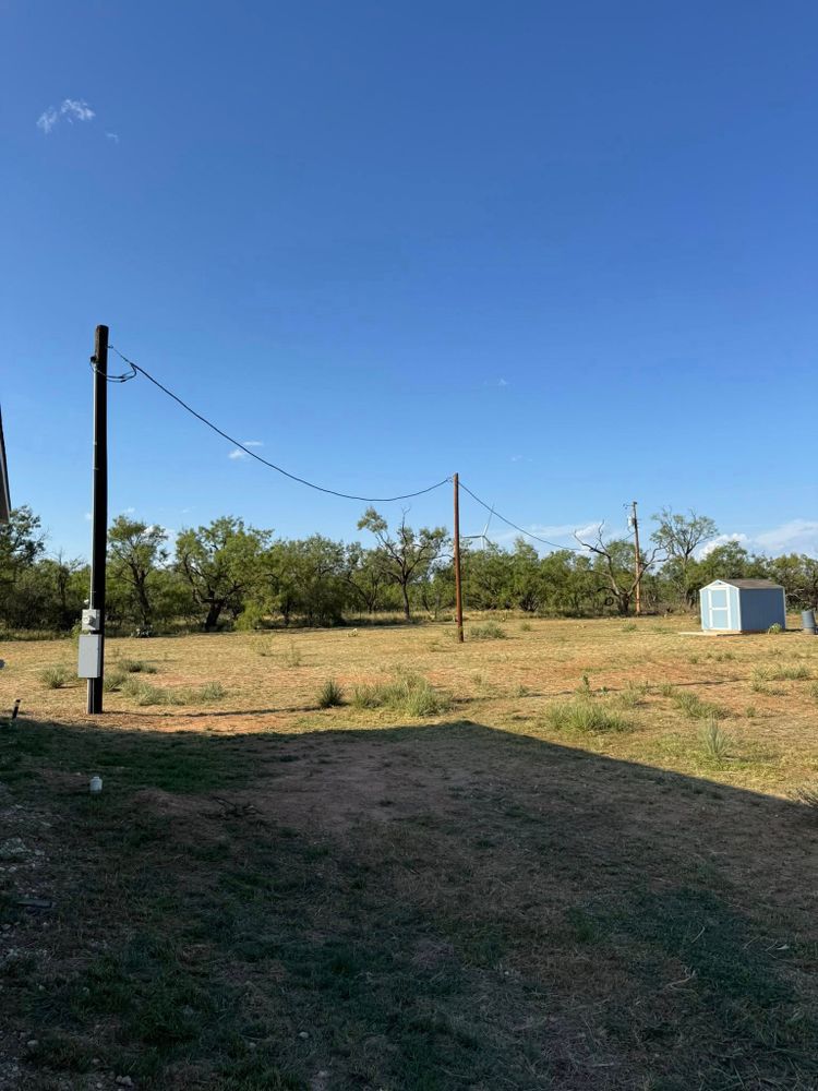 All Photos for Lion In The Tree Trimming Service in Big Spring, TX