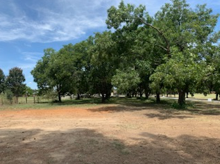 All Photos for Teague Trees and Land Clearing in Rendon, TX