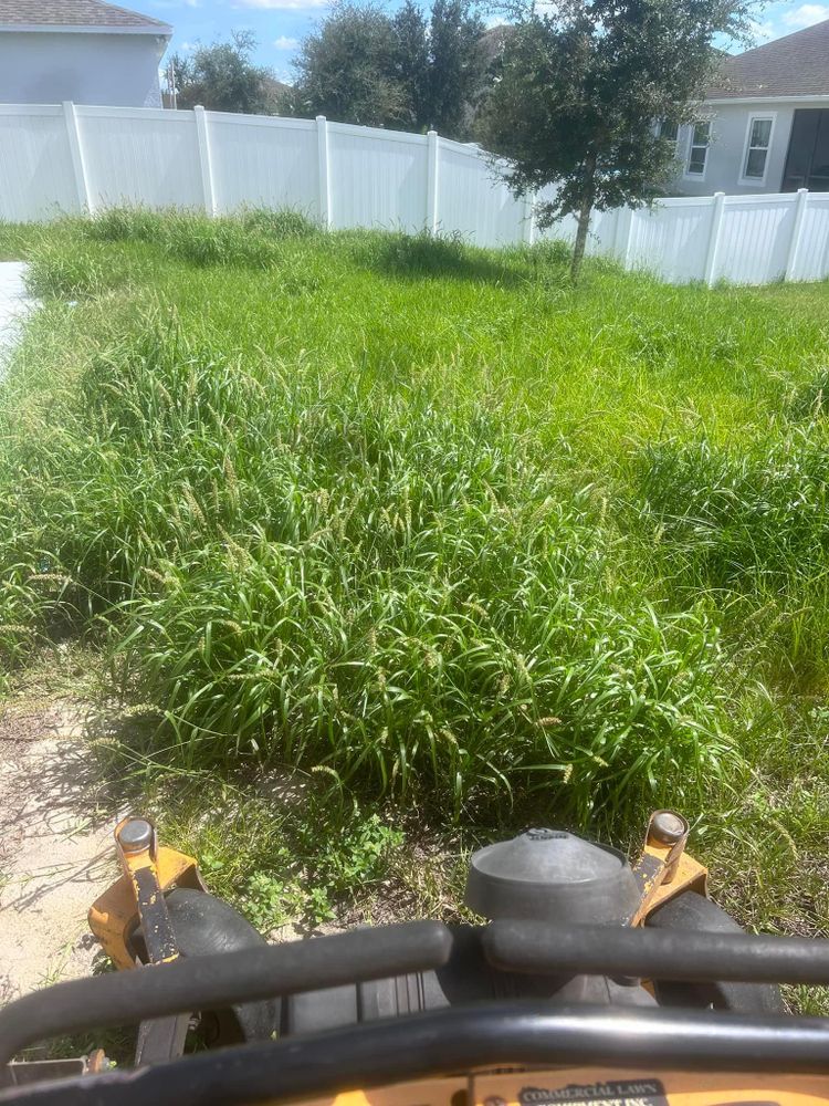 All Photos for Estrada All Pro Lawn Service in Auburndale, Florida