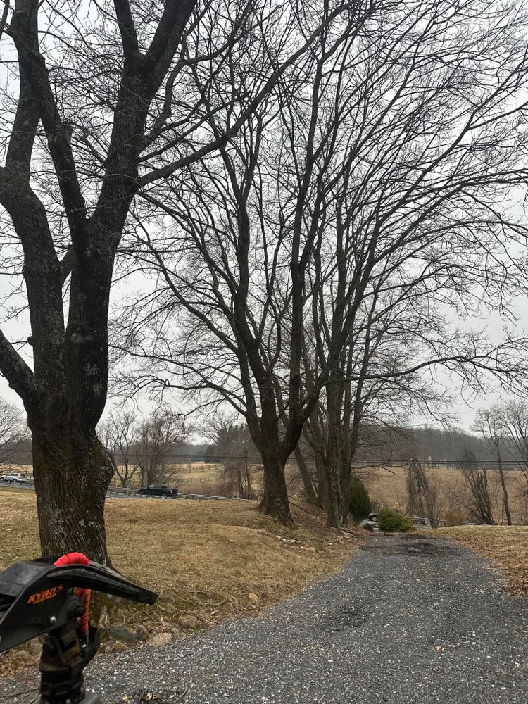 Our Fall Clean Up service ensures your yard is pristine, preparing it for winter with leaf removal, pruning, and debris clearance. Enjoy a tidy landscape all season long with our expert care. for Pleasant Valley Land Management  in Westminster, MD