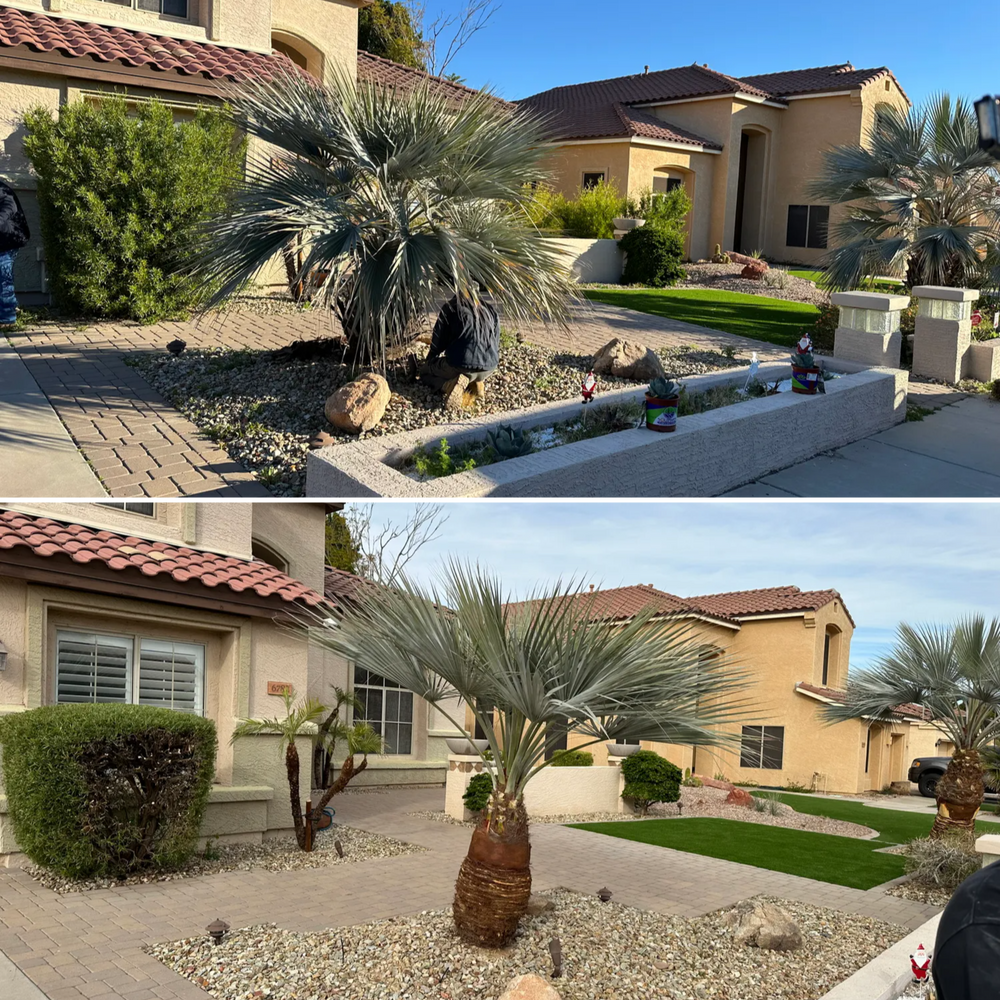 Our Lawn Maintenance service ensures that your lawn will be maintained regularly, ensuring it is healthy and visually appealing throughout the year. for Bobbys Palm and Tree Service LLC in Surprise, AZ