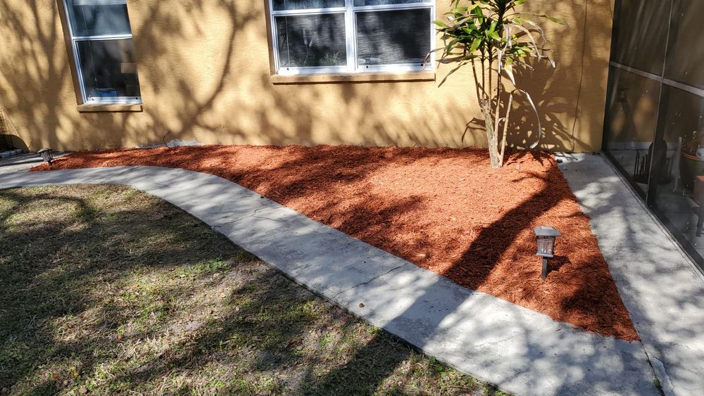 Landscaping for 1 Friendly Lawn Service in Tampa, FL