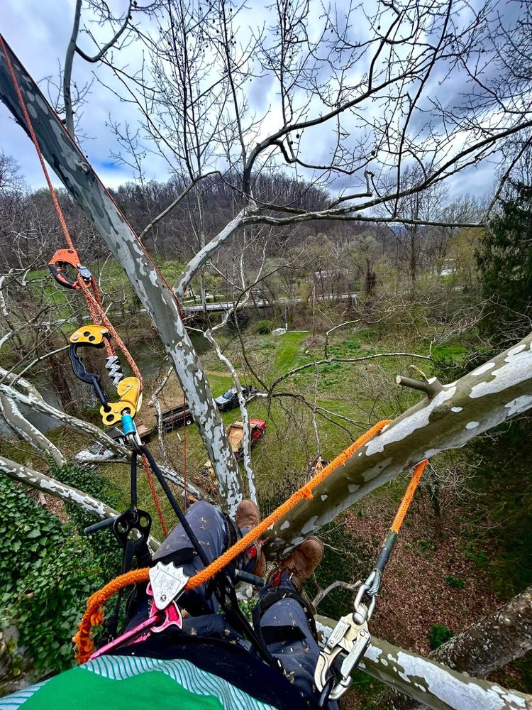 All Photos for NRV Tree Pro, LLC in Narrows, VA