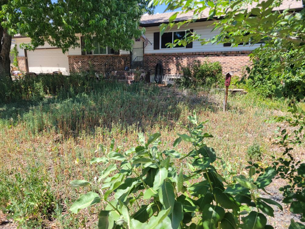 All Photos for JS Landscaping Colorado in Denver, CO