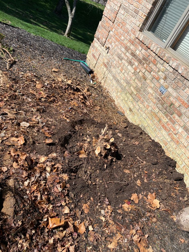 All Photos for Bearforce Lawn Care LLC in Greenfield, IN