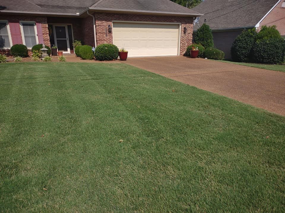 Lawn Care for Freedom Works Lawnscaping in Dyer County, Tennessee