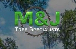 All Photos for Global Tree Specialist in Huffman, TX