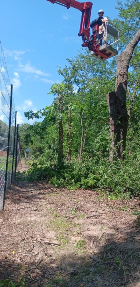 All Photos for Lawn Ranger Yard And Tree Service LLC in Ottumwa, IA