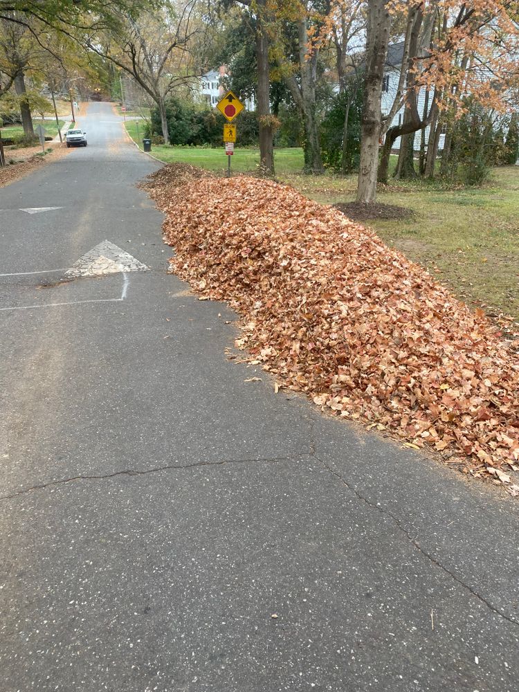 Mulching for America's Top Pick Lawn & Landscaping in Gastonia, NC