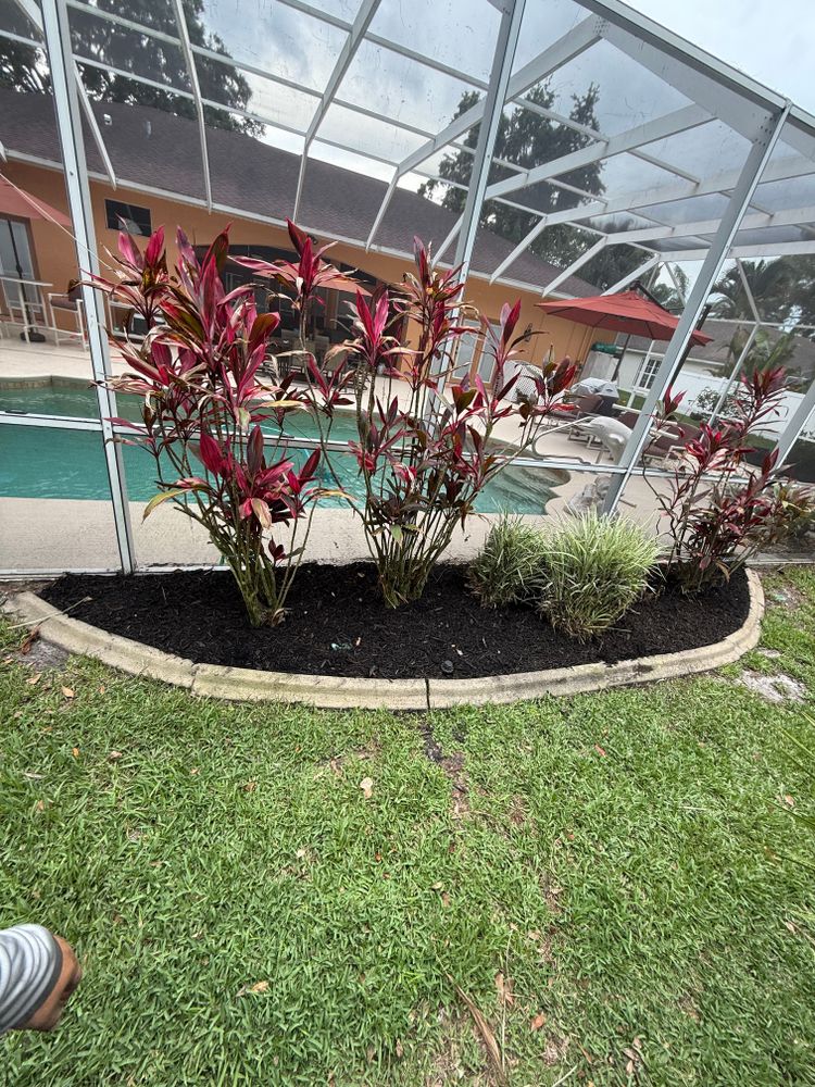All Photos for Vanic's Landscaping in South Daytona, FL