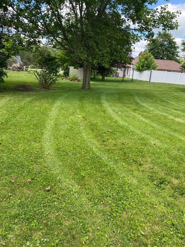 All Photos for Bearforce Lawn Care LLC in Greenfield, IN
