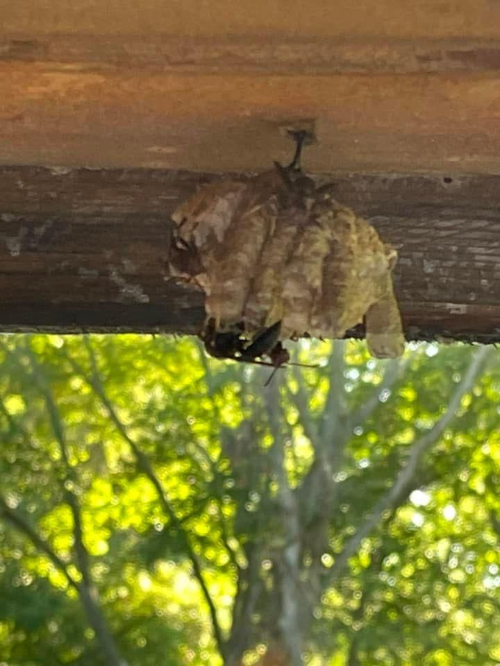 All Photos for Clavin Painting in Fort Dodge, Iowa