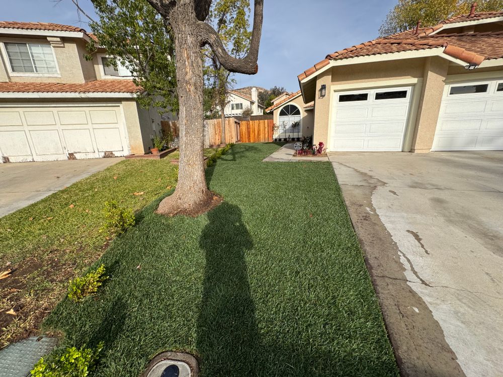 Sod Installations for Aidan Jade Landscaping in Riverside County, CA