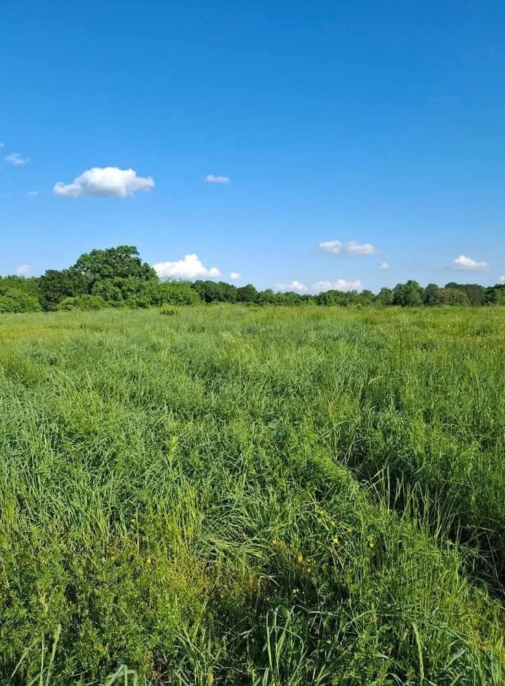 All Photos for Team Construction & Renovations in Lynchburg, TN