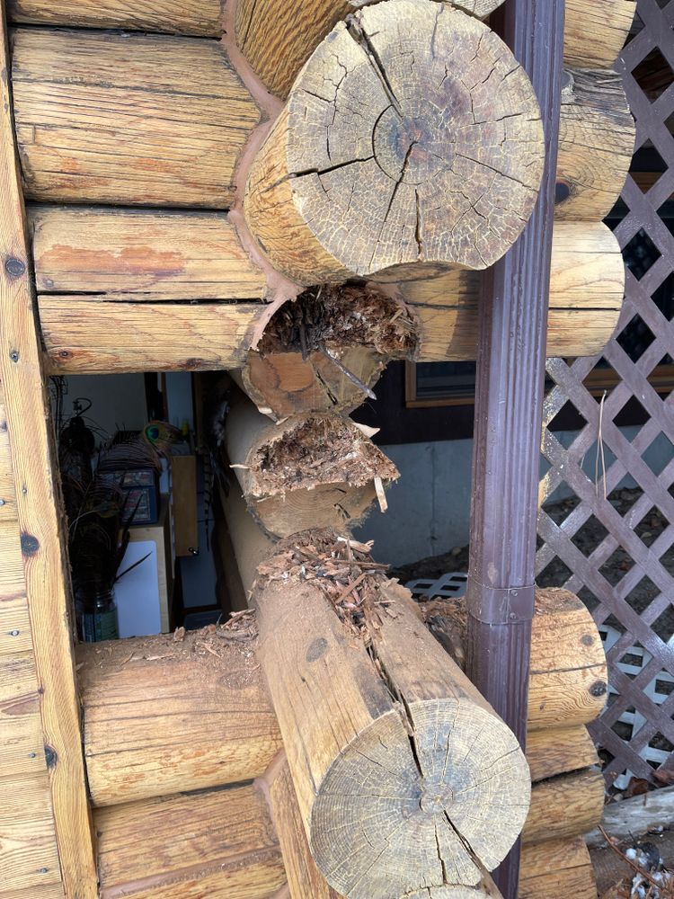 All Photos for Wild West Log home specialists in Corvallis, MT