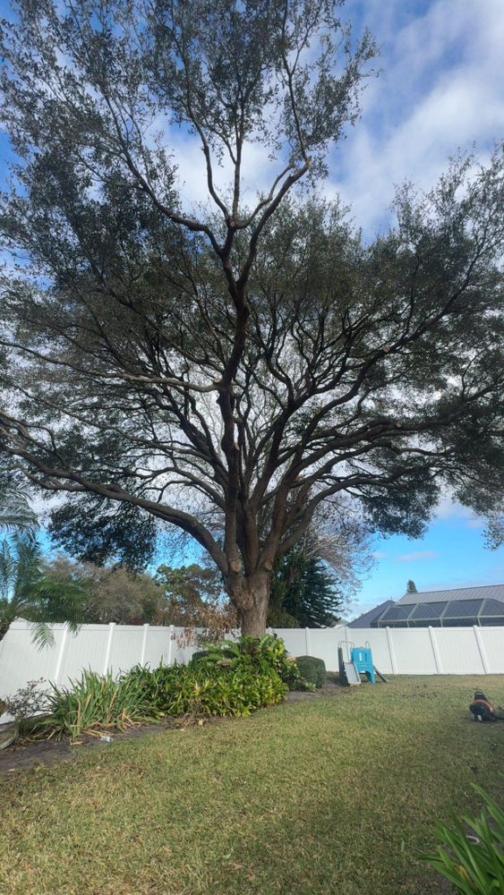 All Photos for Space Coast Property Maintenance and Management LLC in Melbourne, FL