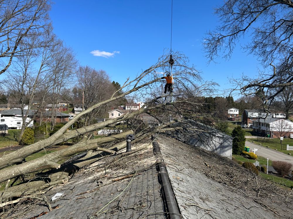 Emergency services  for JJ Tree Service in Gibsonia, PA