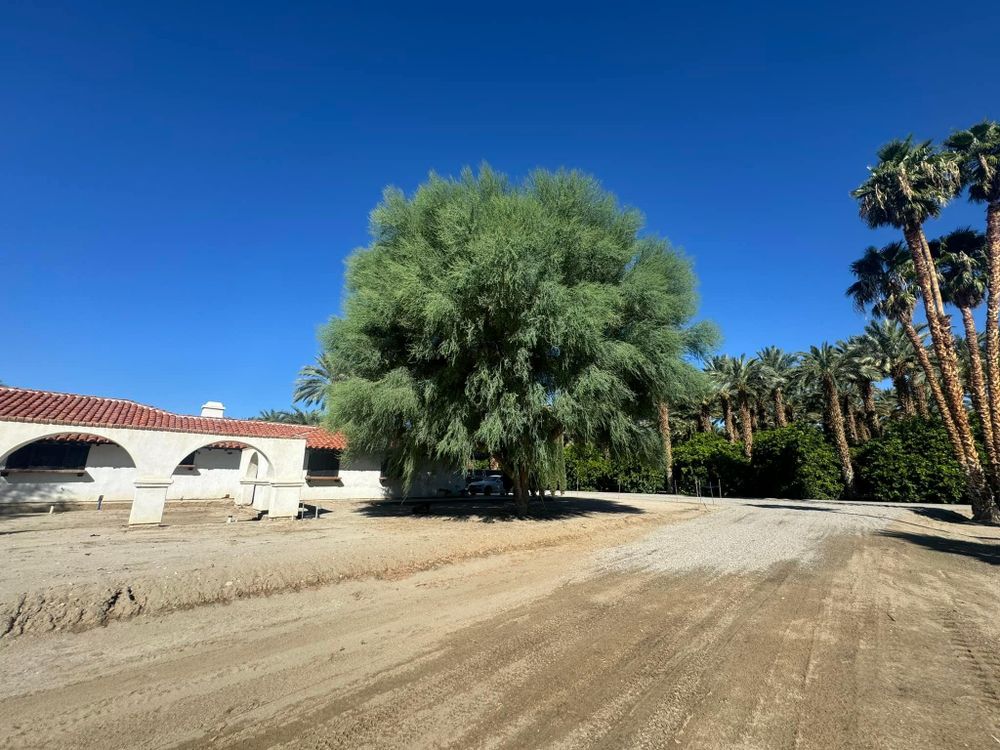 Property Clean Up for The Tree Fairy in Temecula, CA